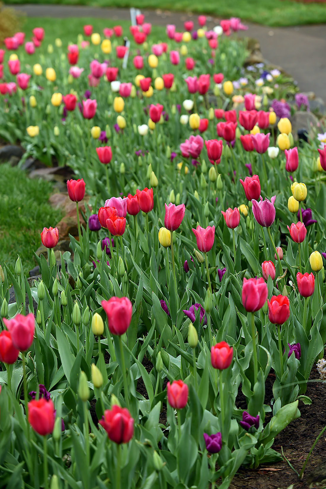 First Day of Spring